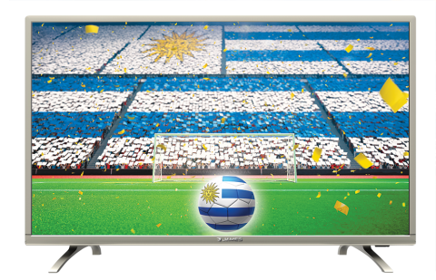 TVJ LED S55